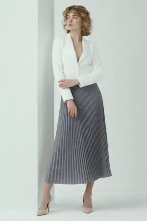 Pleated Skirt