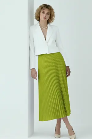 Pleated Skirt